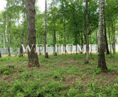 Участок, 38 соток