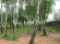 Участок, 38 соток