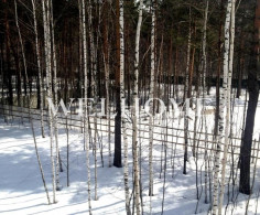 Дом, 1 комната, 47 соток