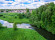Федоскино Парк
