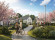 Истра Дом
