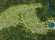 Участок, 15 соток