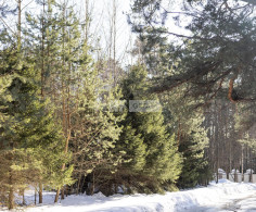 Участок, 232 сотки