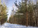 Участок, 232 сотки