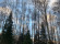 Участок, 22 сотки