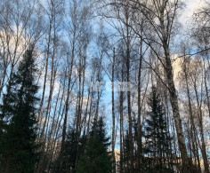Участок, 22 сотки