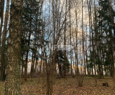 Участок, 22 сотки