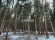 Участок, 48 соток