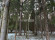 Участок, 48 соток