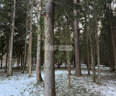 Участок, 48 соток