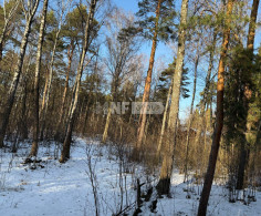 Участок, 50 соток