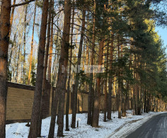 Участок, 50 соток