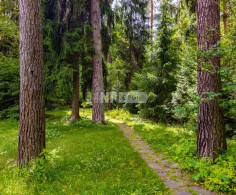 Участок, 30 соток