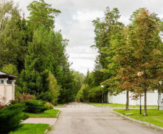 Участок, 82 сотки