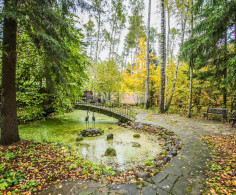 Участок, 82 сотки
