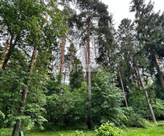 Участок, 45 соток