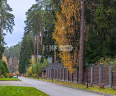 Участок, 45 соток