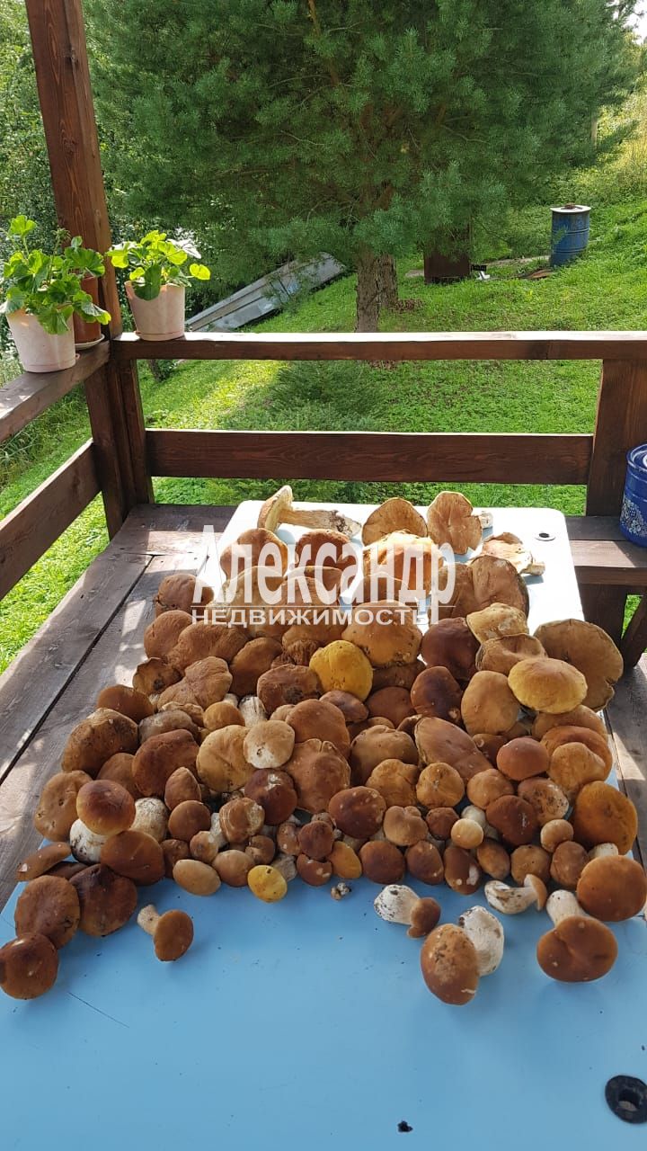 Дом, 1 этаж