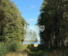 Участок, 6 соток