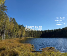 Участок, 6 соток