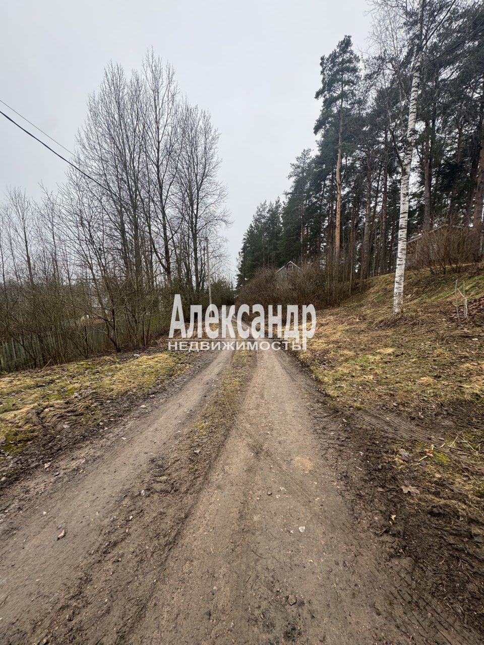 Участок, 23 сотки
