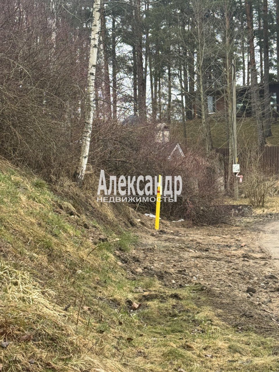 Участок, 23 сотки