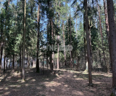 Участок, 45 соток