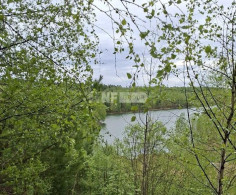 Участок, 12000 соток
