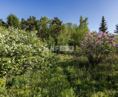 Участок, 23 сотки