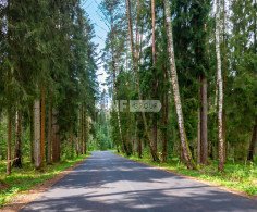 Участок, 11 соток