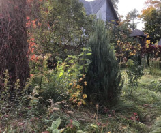 Дом, 3 этажа