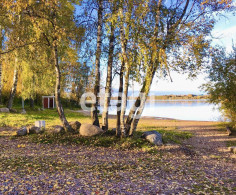 Дом, 2 этажа, 13 соток
