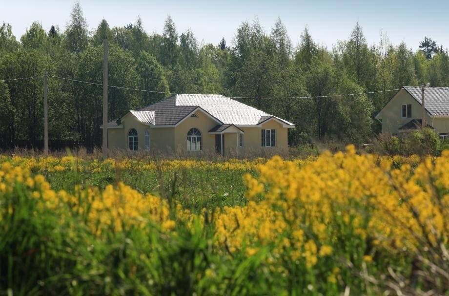Лесная сказка