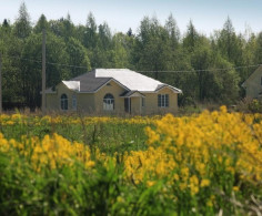 Лесная сказка